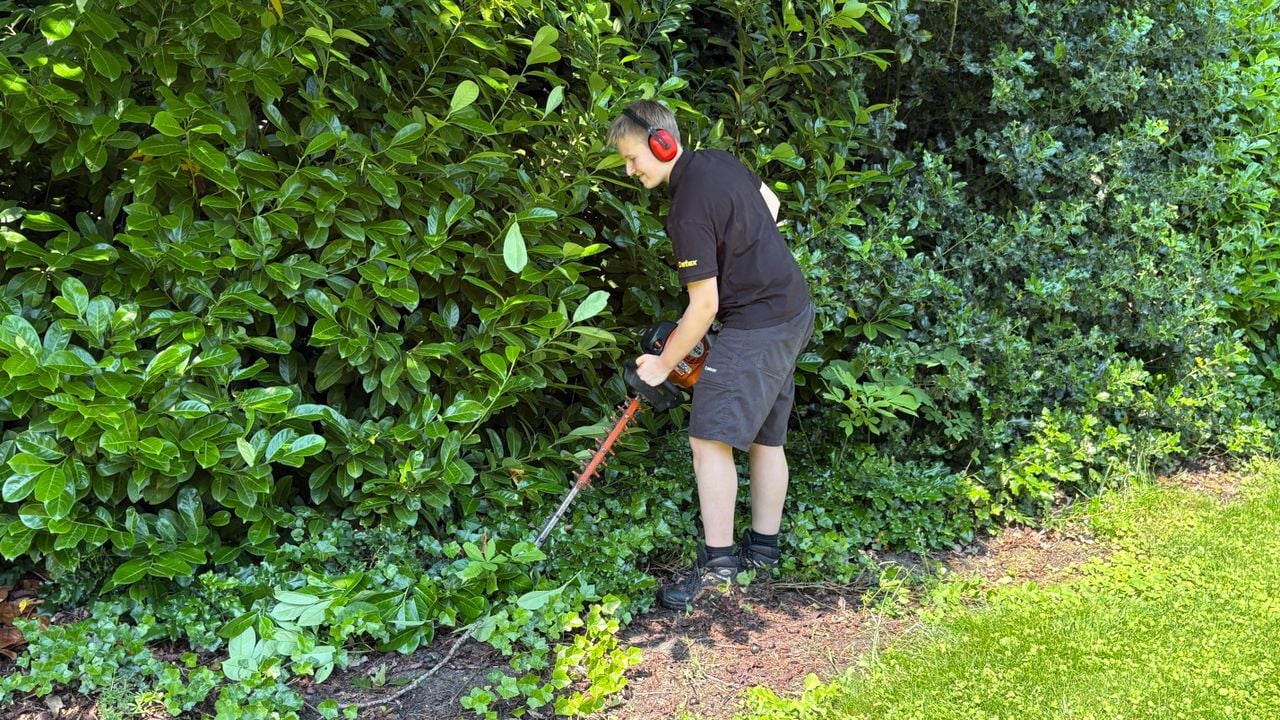 Noa snoeit er flink op los ondanks de hoge temperaturen. (Foto: Imke van de Laar.)