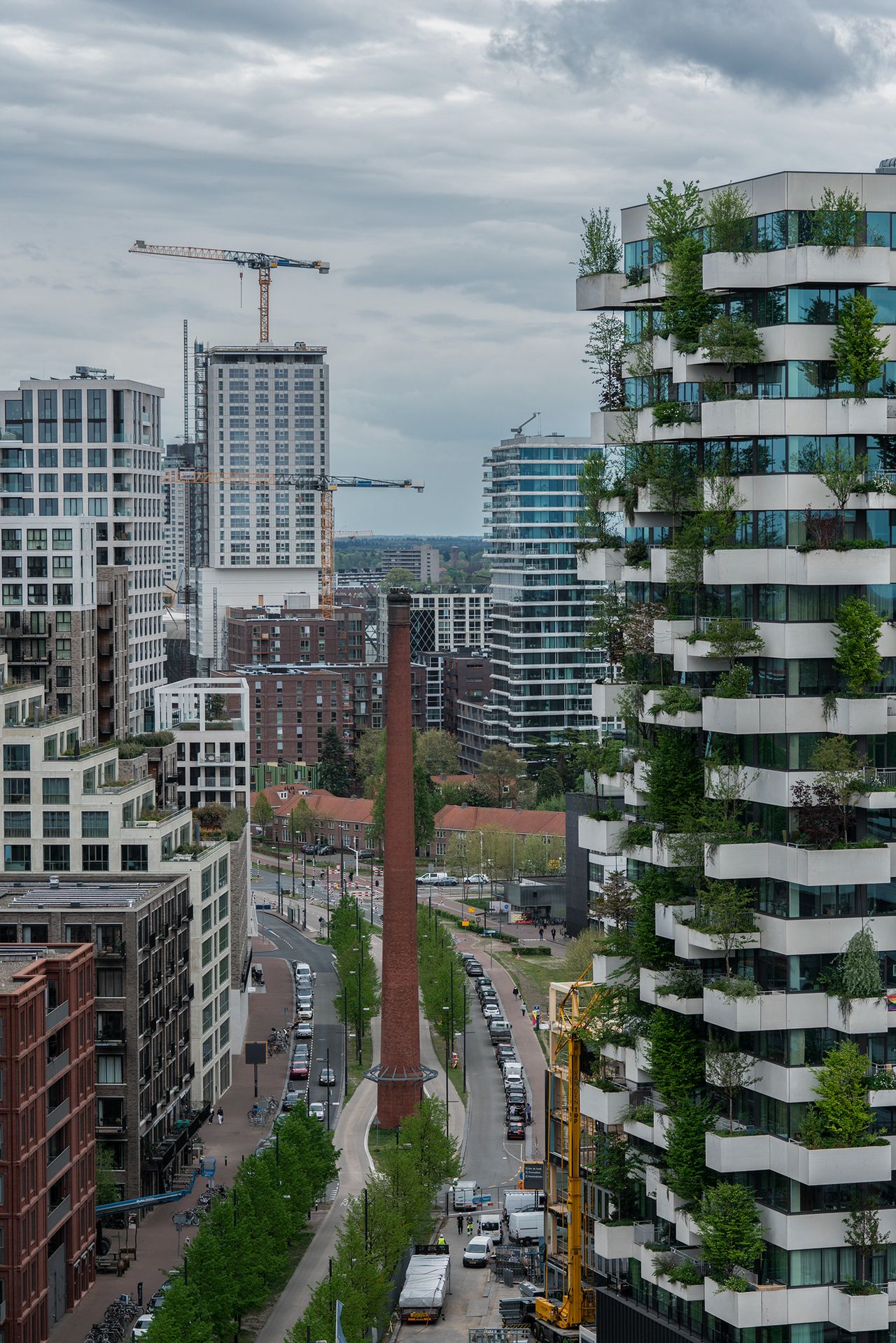 Hijskranen op Strijp-S en op de voorgrond het verticale bos (foto: Martijn Rooijakkers).
