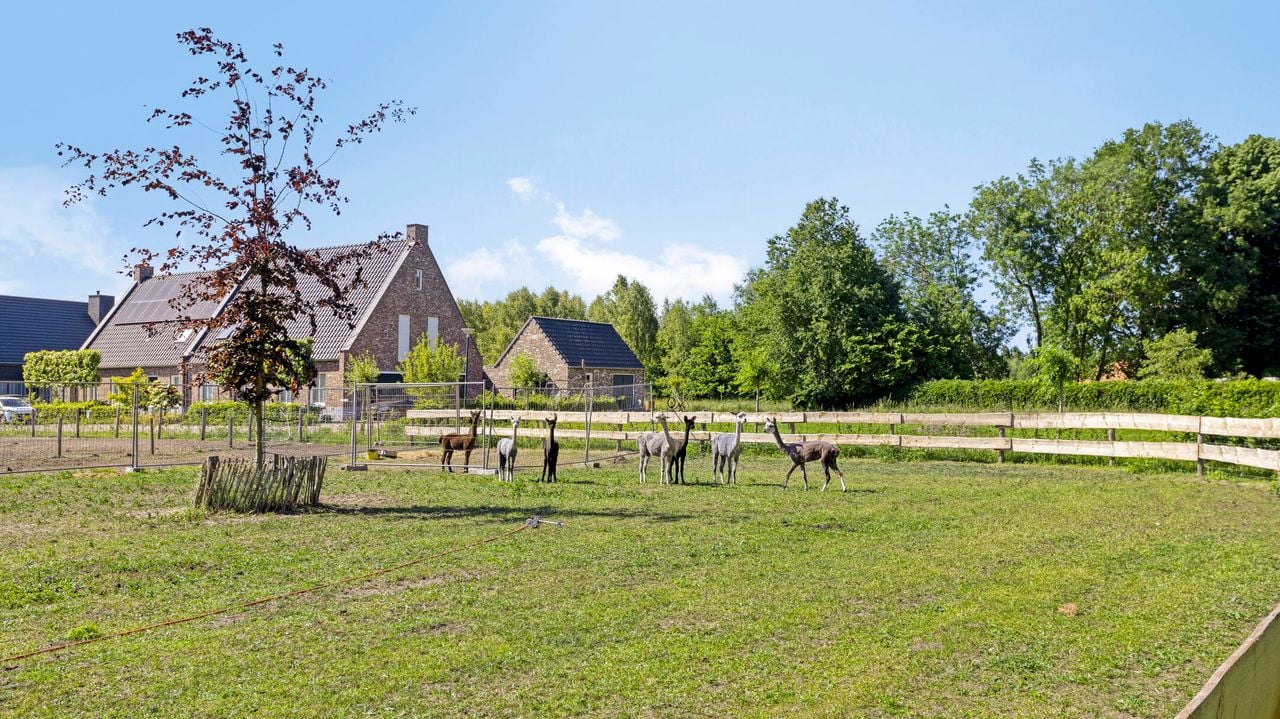 Dit is het uitzicht vanaf het terras (foto: Van Helvoort Makelaardij).