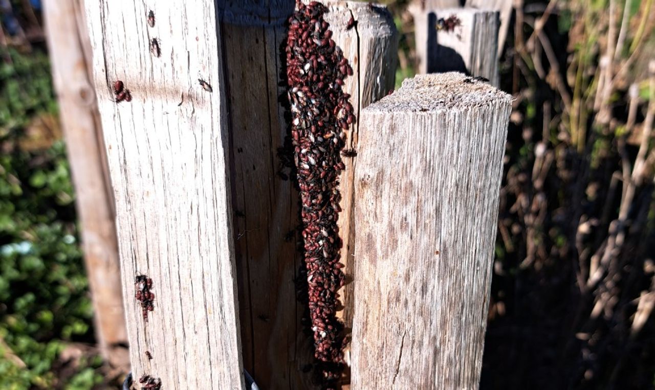 Foto: Roland Roijakkers