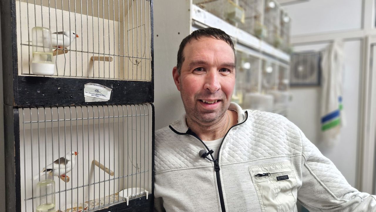 Rowdy van Son is trots op zijn prijswinnende vogels (foto: Noël van Hooft)