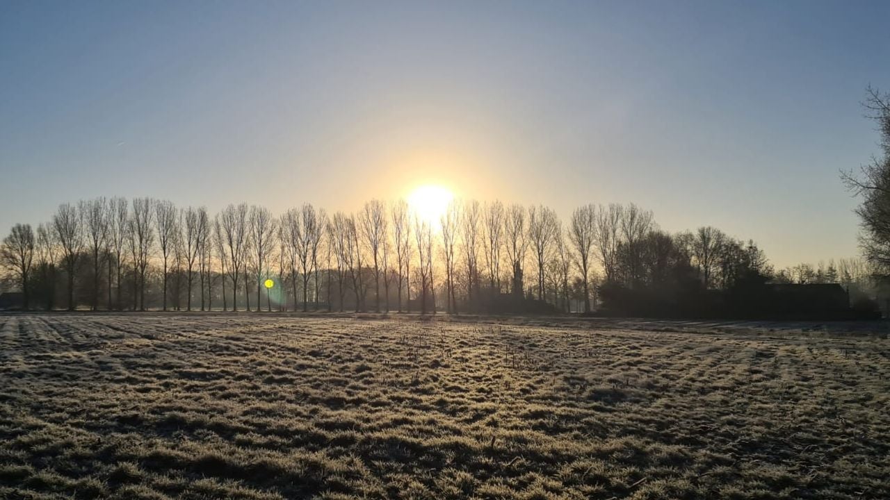 Een koud winterzonnetje in Sint Michielsgestel (foto: Bianca van Hamond)