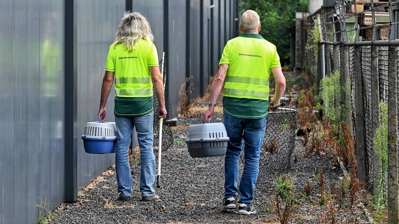 Foto: Toby de Kort / Persbureau Heitink
