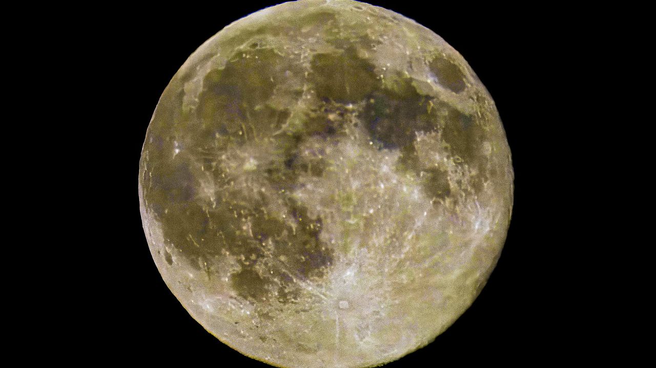 Foto: Ardy van Heesch-Van Kuijk. 