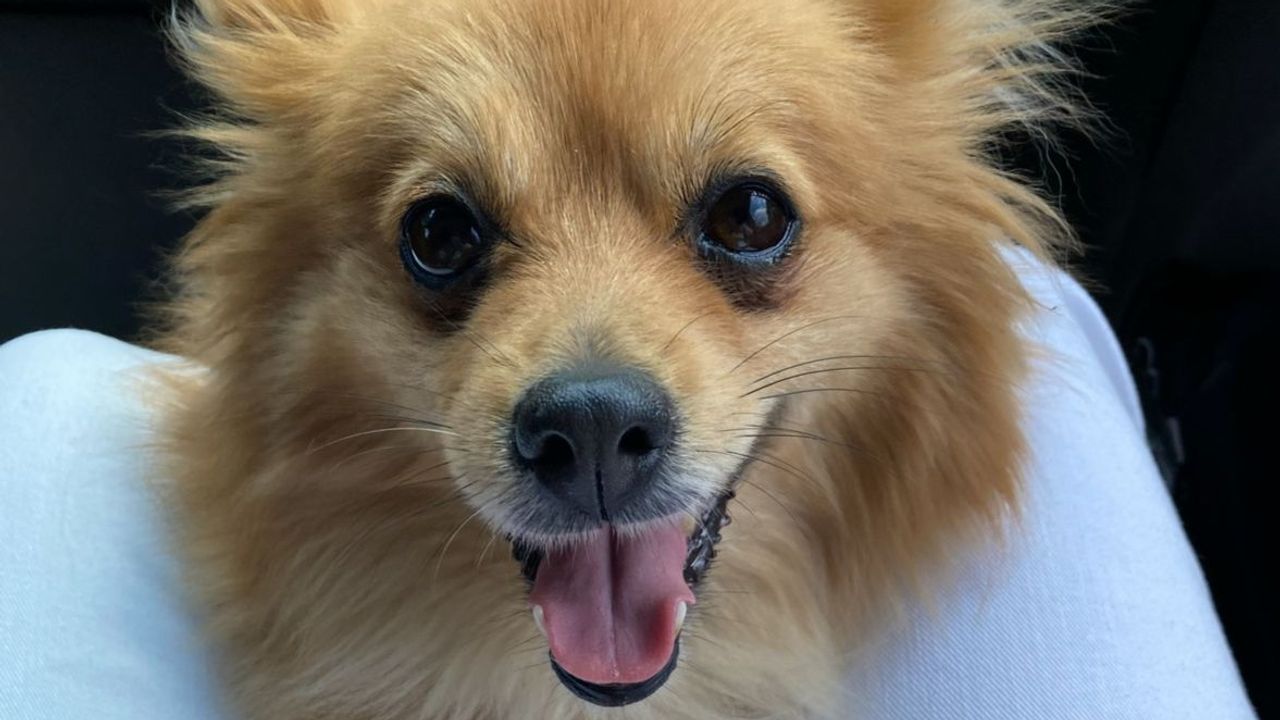 Keesje en haar blije snoet (foto: Anouk Kam).