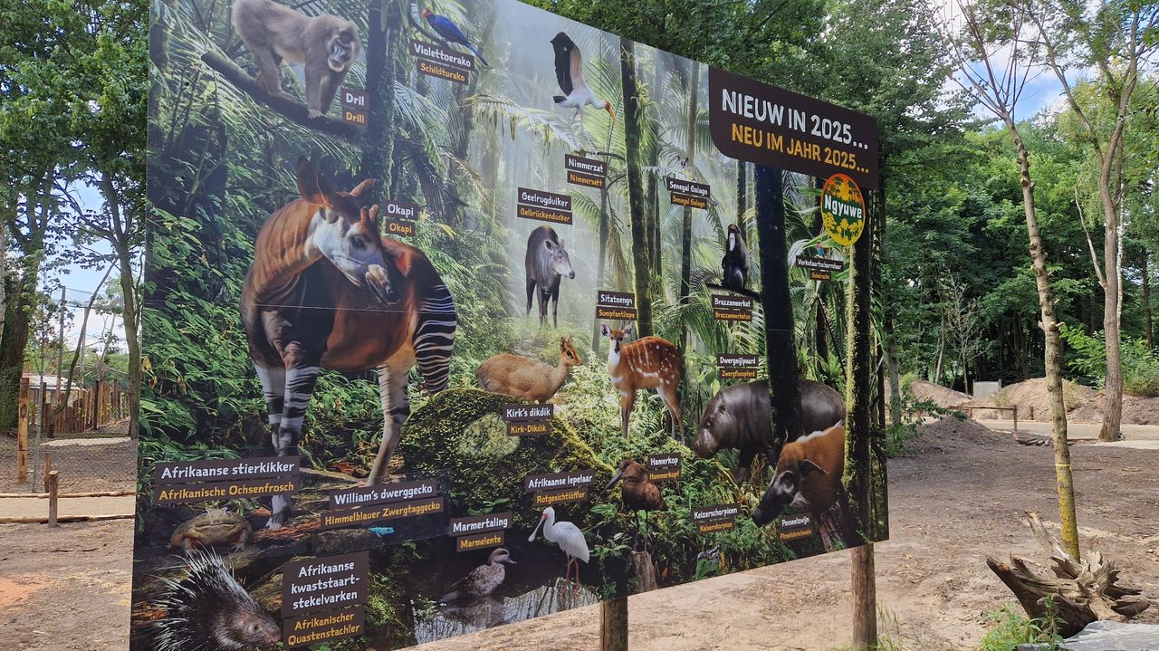 Alle dieren die in Ngyuwe leven (foto: Tom Berkers).