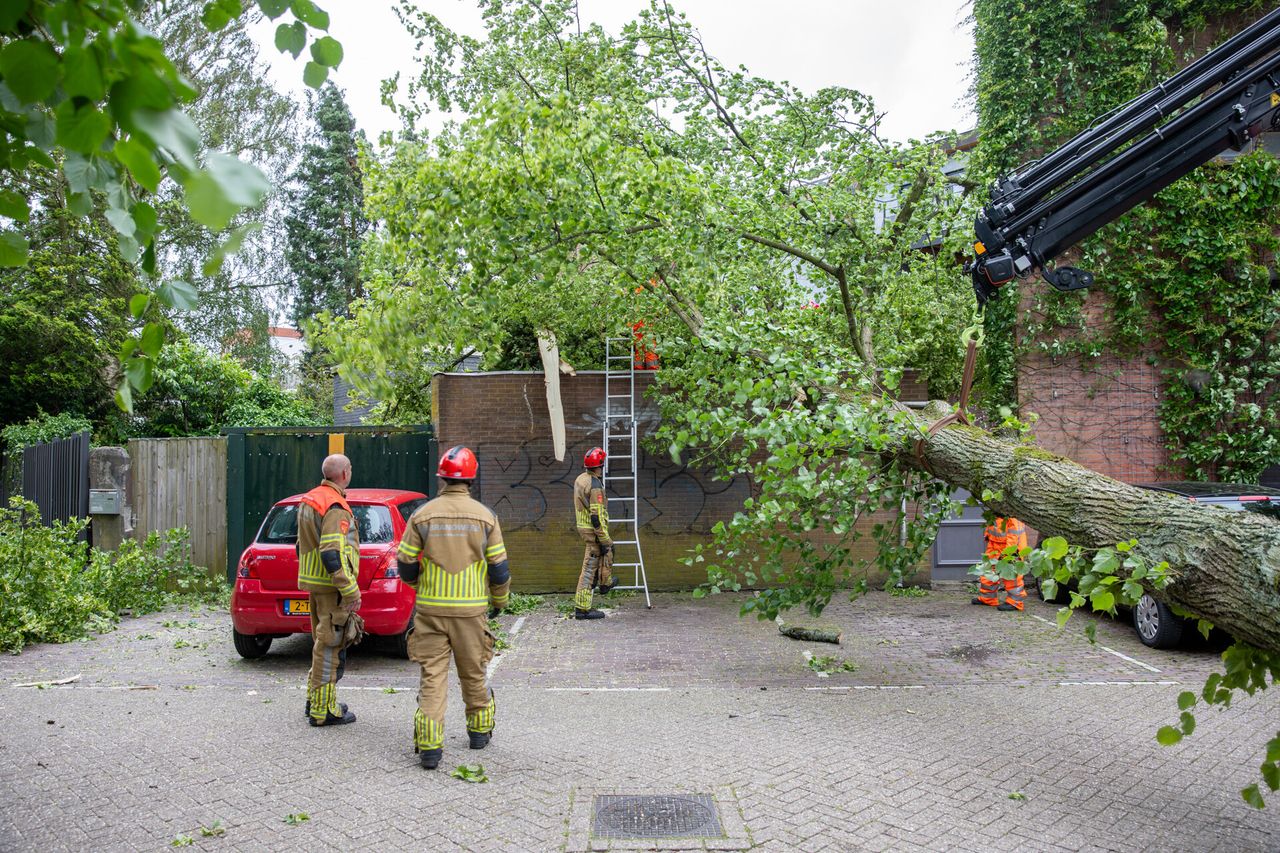 Omgewaaide boom in Roosendaal (foto: Christian Traets/SQ Vision).
