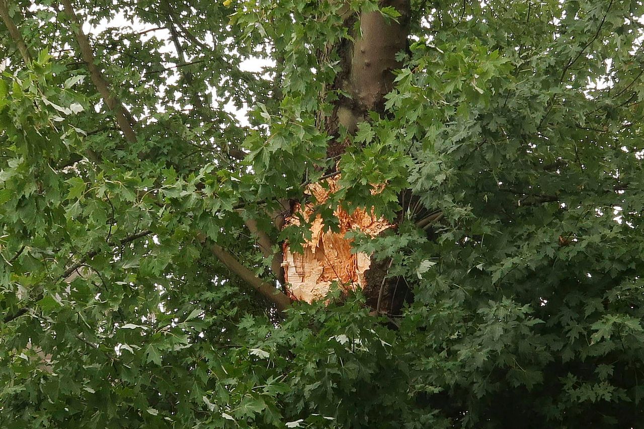 De plek van de breuk (foto: Perry Roovers/Persbureau Heitink).