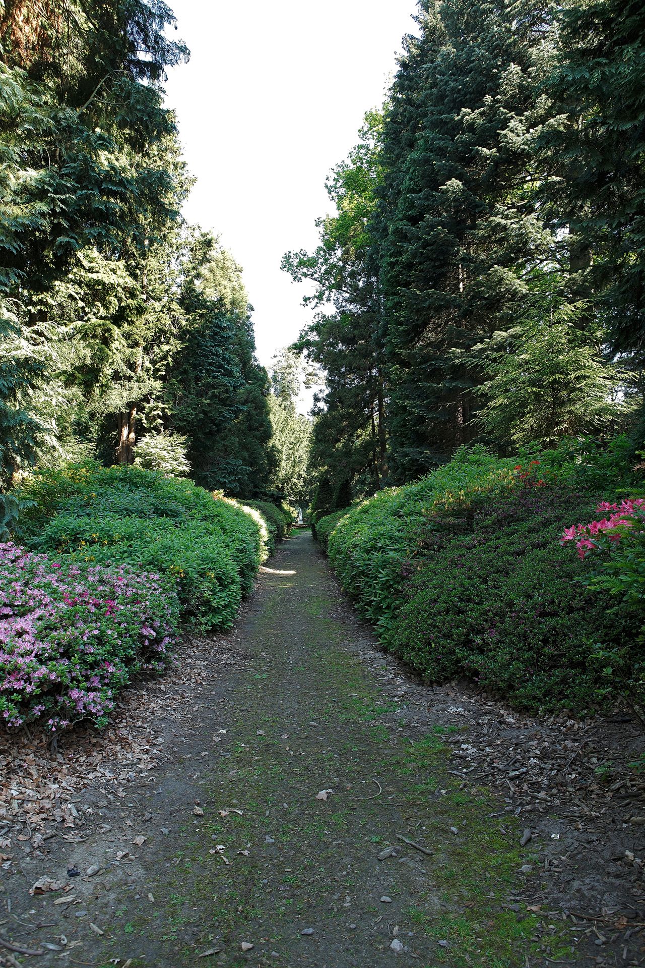 Het Azalealaantje  (foto: gemeente Eindhoven).