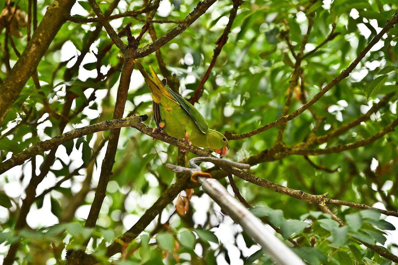 Foto: Rico Vogels/Persbureau Heitink