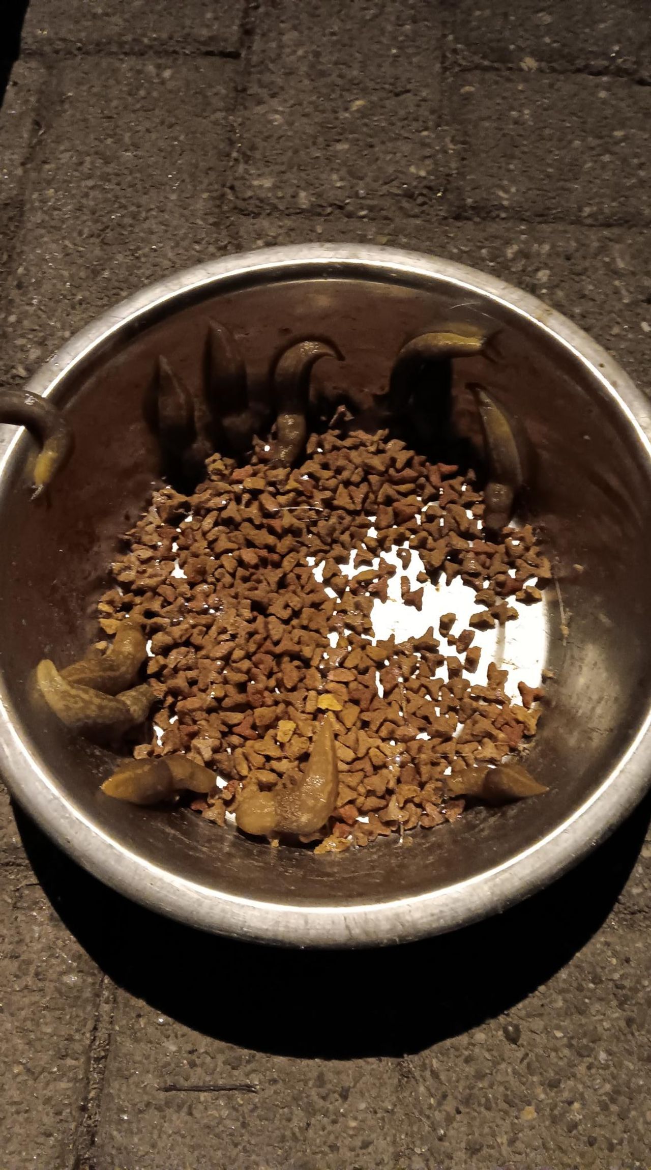 Foto: Elly Olijslagers.