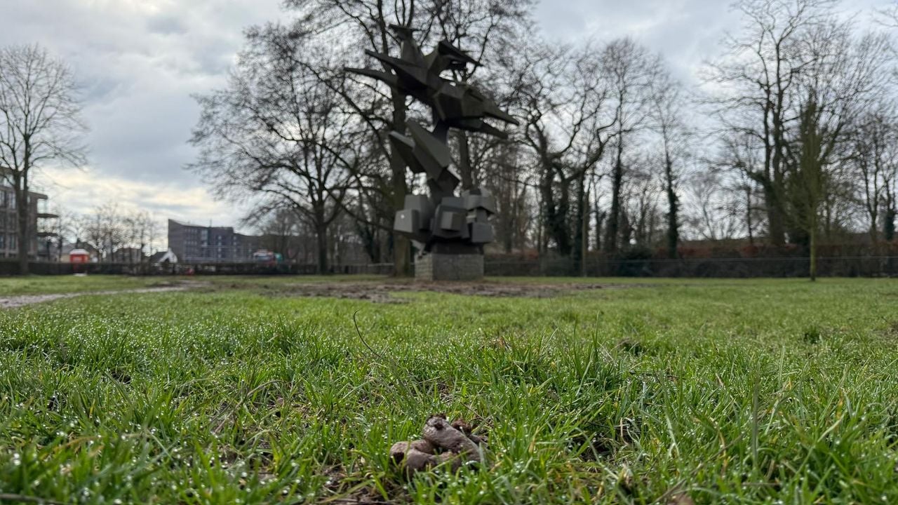 Het kunstwerk staat nu tussen de drollen (foto: Robert te Veele).