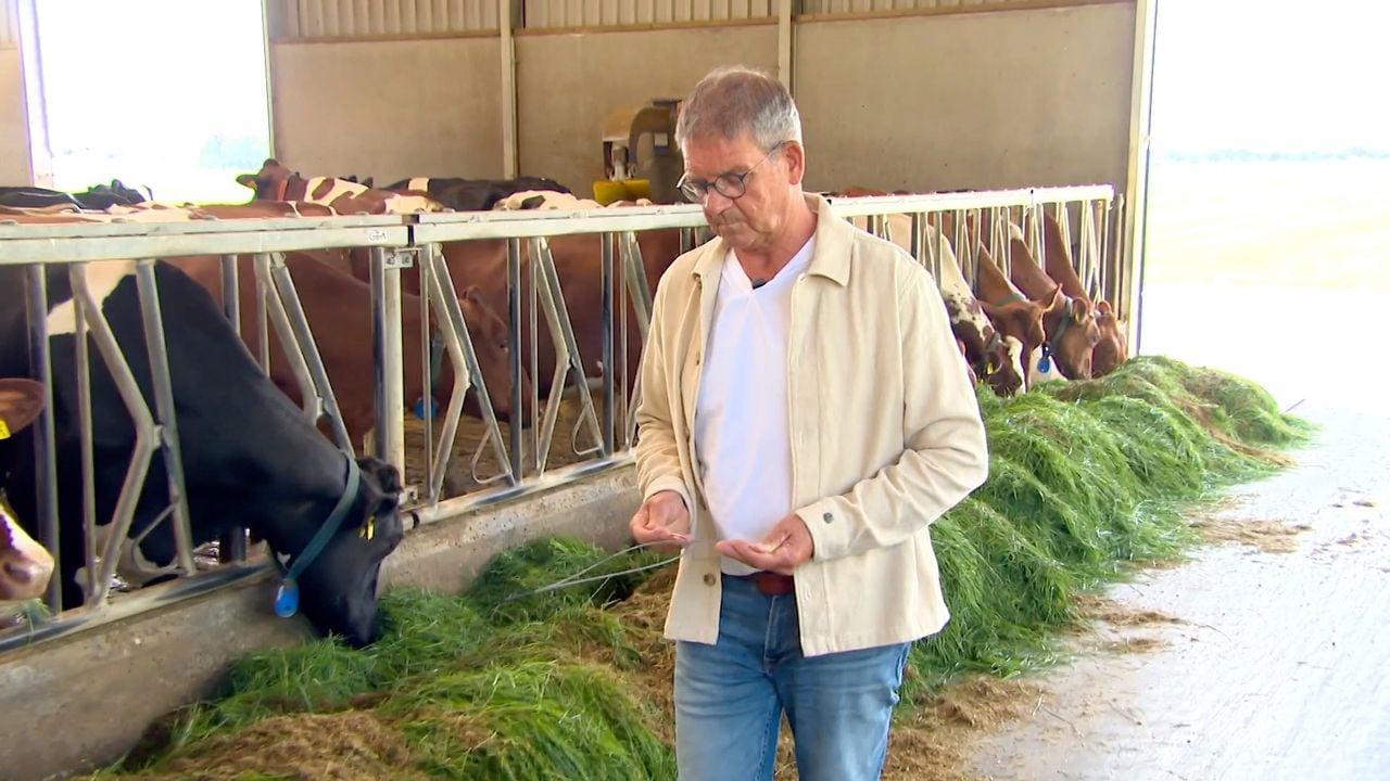 Jan Boeren in actie (foto: Omroep Brabant).