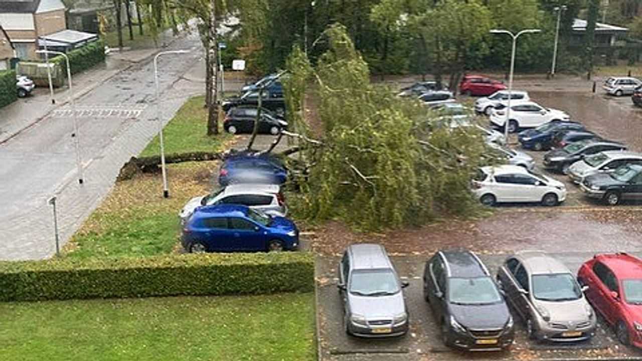 Foto: Steffie Takkenberg.