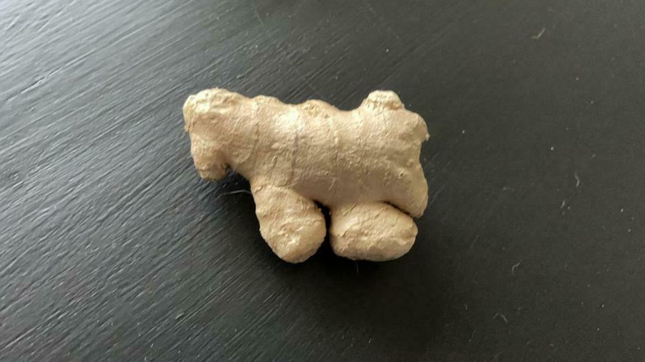 De 'gemberpony' uit Doetinchem (foto: Marktplaats)