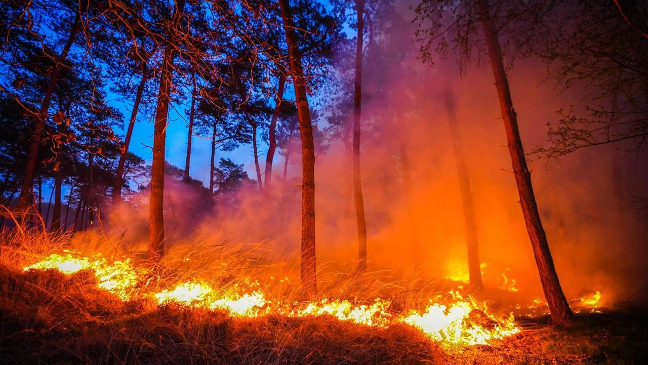 Foto: Persbureau Heitink