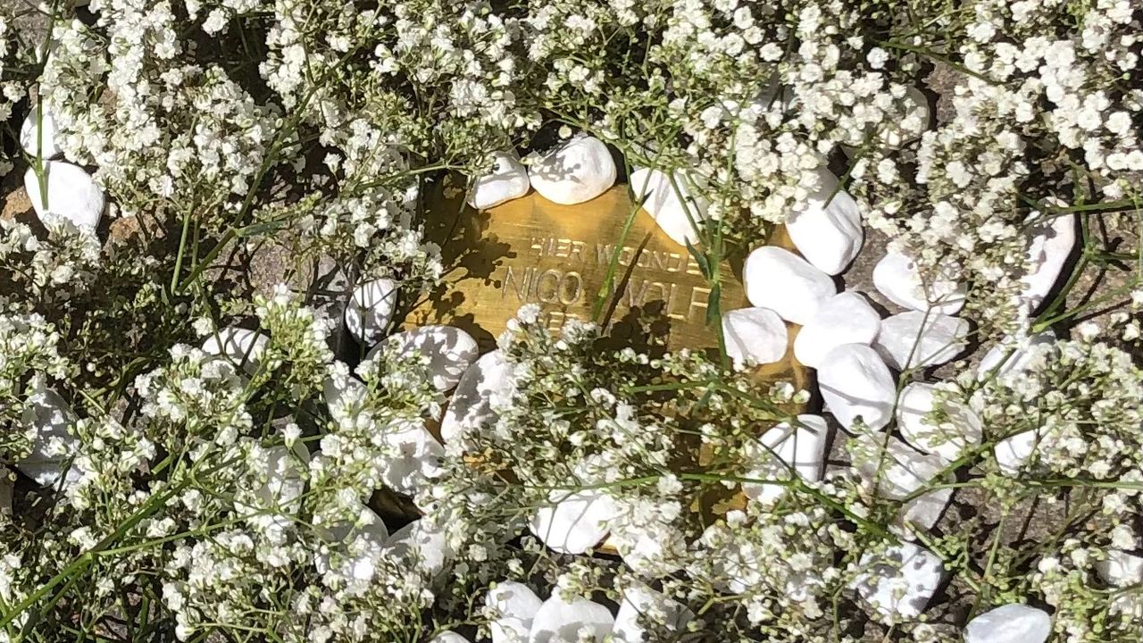 Stolperstein voor Nico Wolf omringd door bloemen en steentjes (foto: Willem-Jan Joachems).