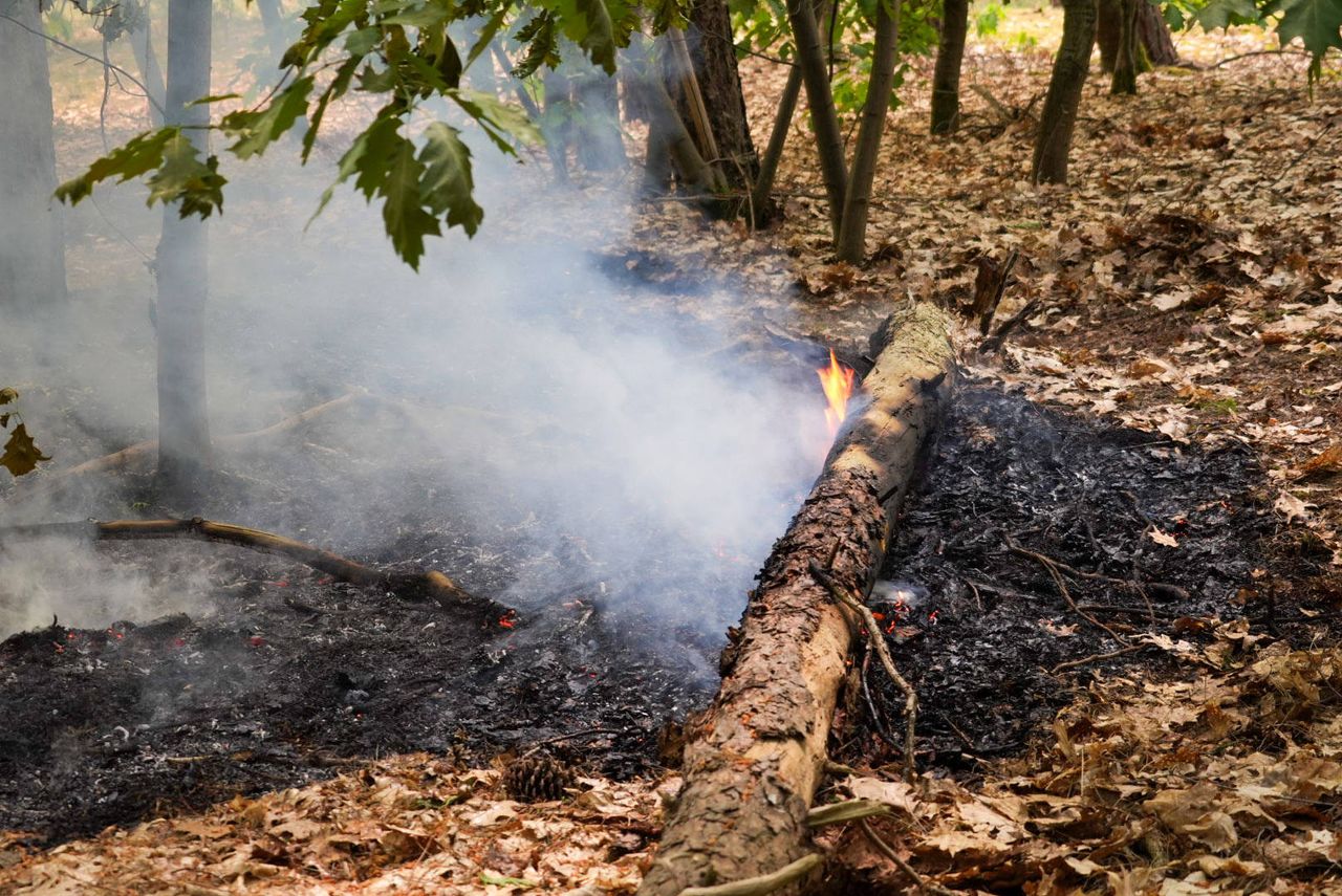 Foto: Harrie Grijseels/Persbureau Heitink.