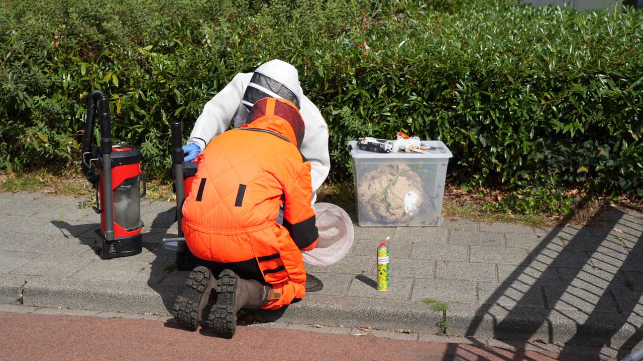 Foto: Erik Haverhals/Persbureau Heitink.