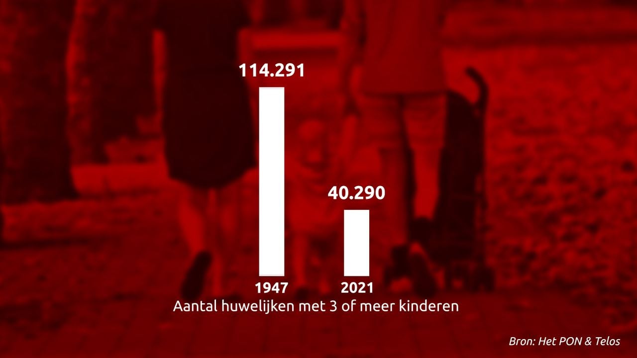Het aantal grote gezinnen toen en nu (beeldbewerking: Omroep Brabant).