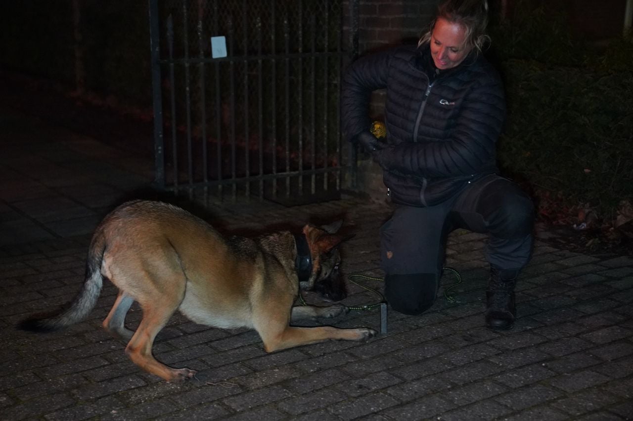 Een politiehond werd ingezet (foto: Bart Meesters / Persbureau Heitink).