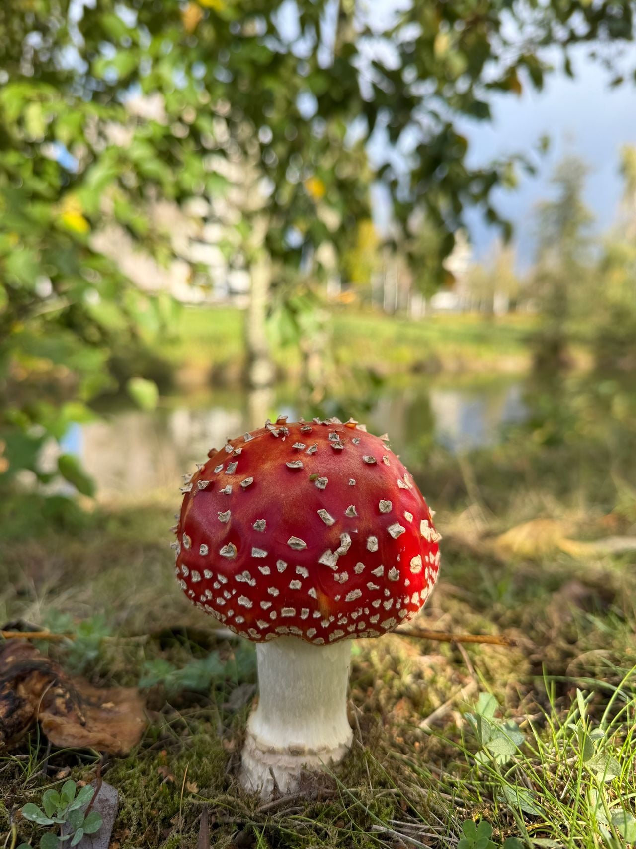 Nog zo'n mooi kabouterhuisje in Eindhoven (foto: Patricia Besems).