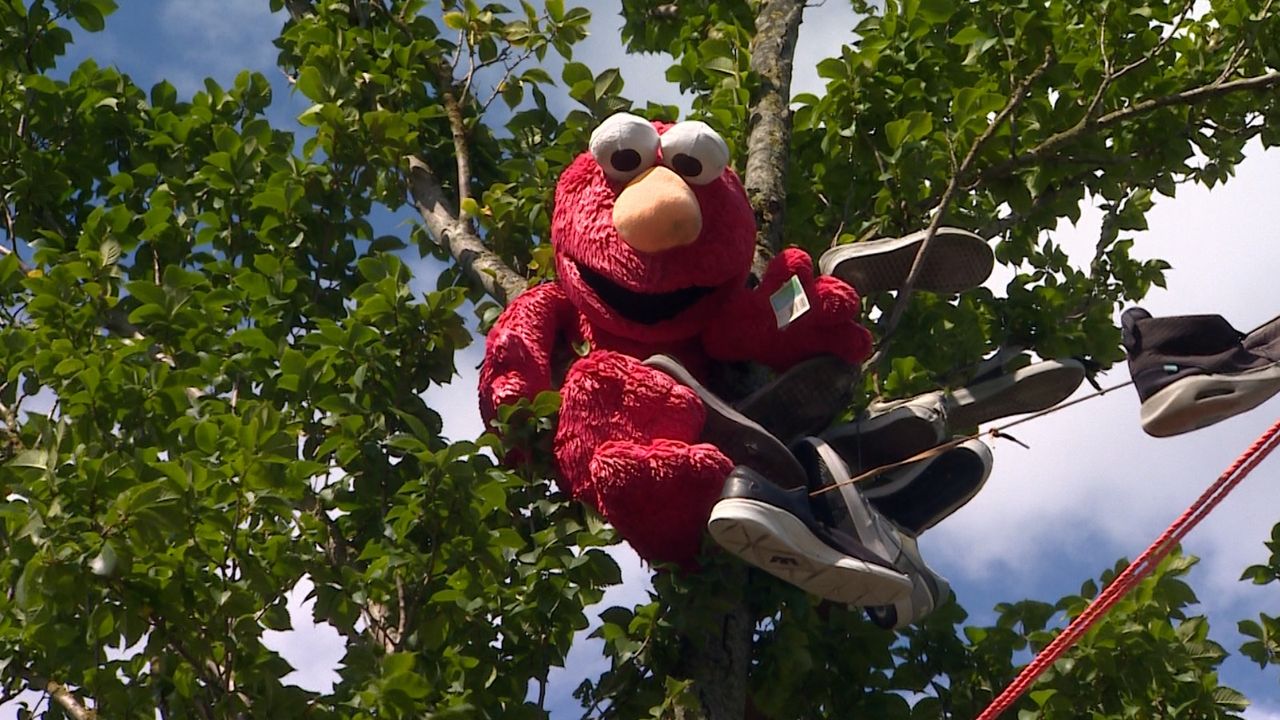 Elmo houdt alles goed in de gaten.