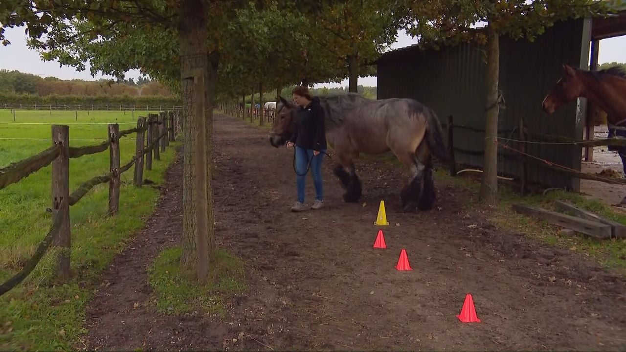 Sandra en Doortje lopen een parcours op zoek naar obstakels in het stoppen met roken (foto: Omroep Brabant).