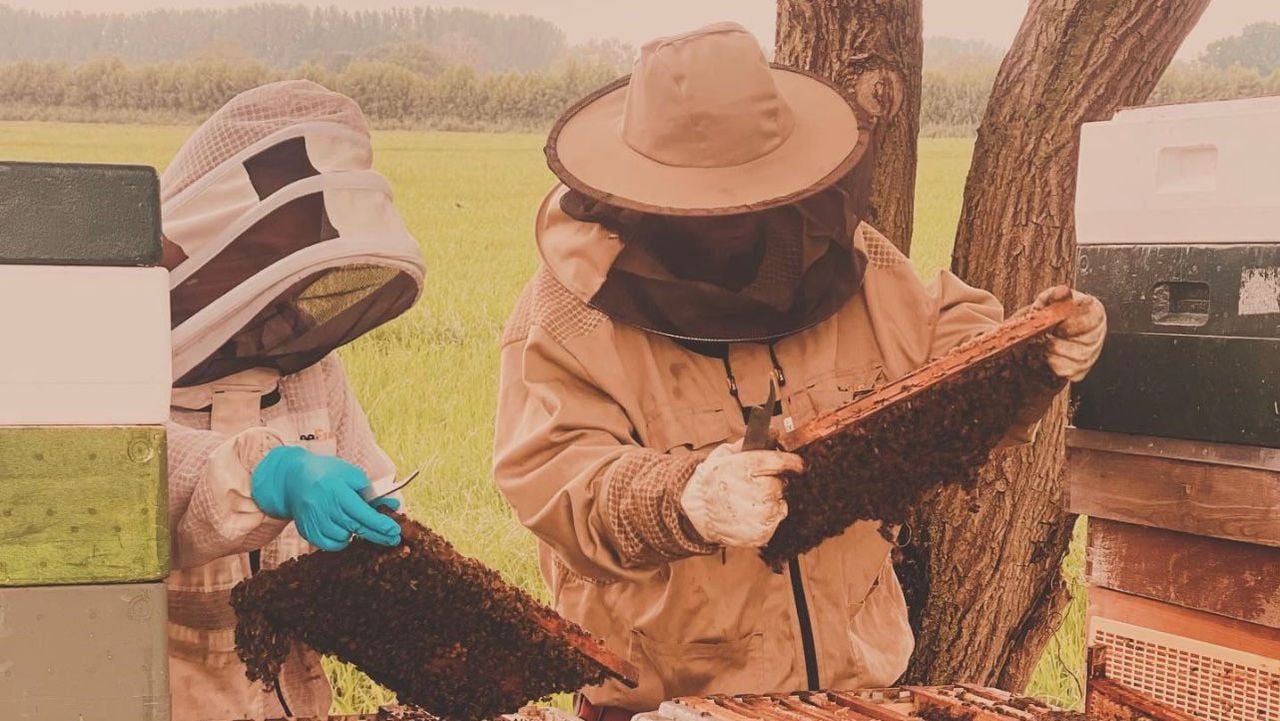 Elphaidis en Sylvester zijn imkers bij Silly's honing (eigen foto).