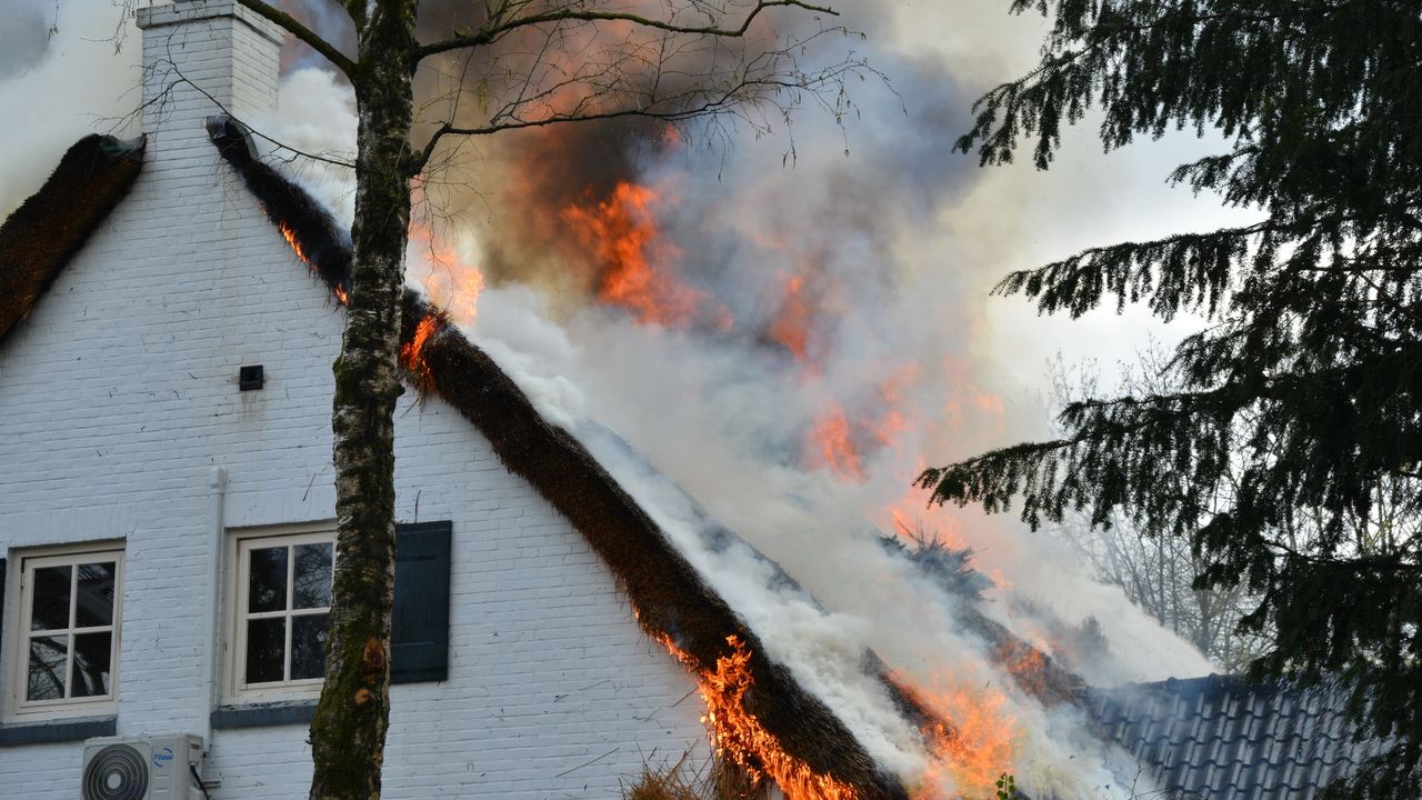 Foto: Perry Roovers/SQ Vision