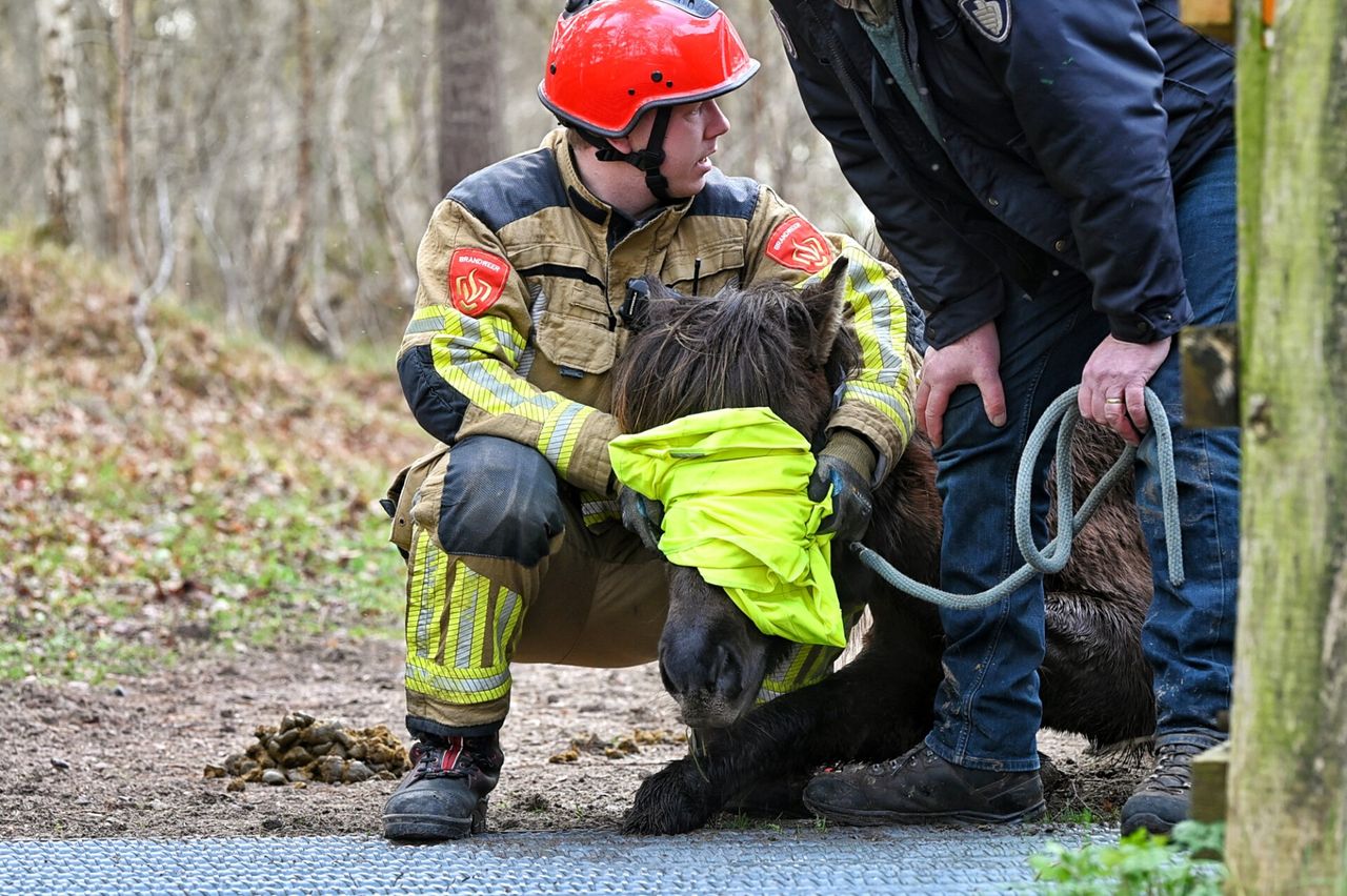 Foto: Toby de Kort/SQ Vision