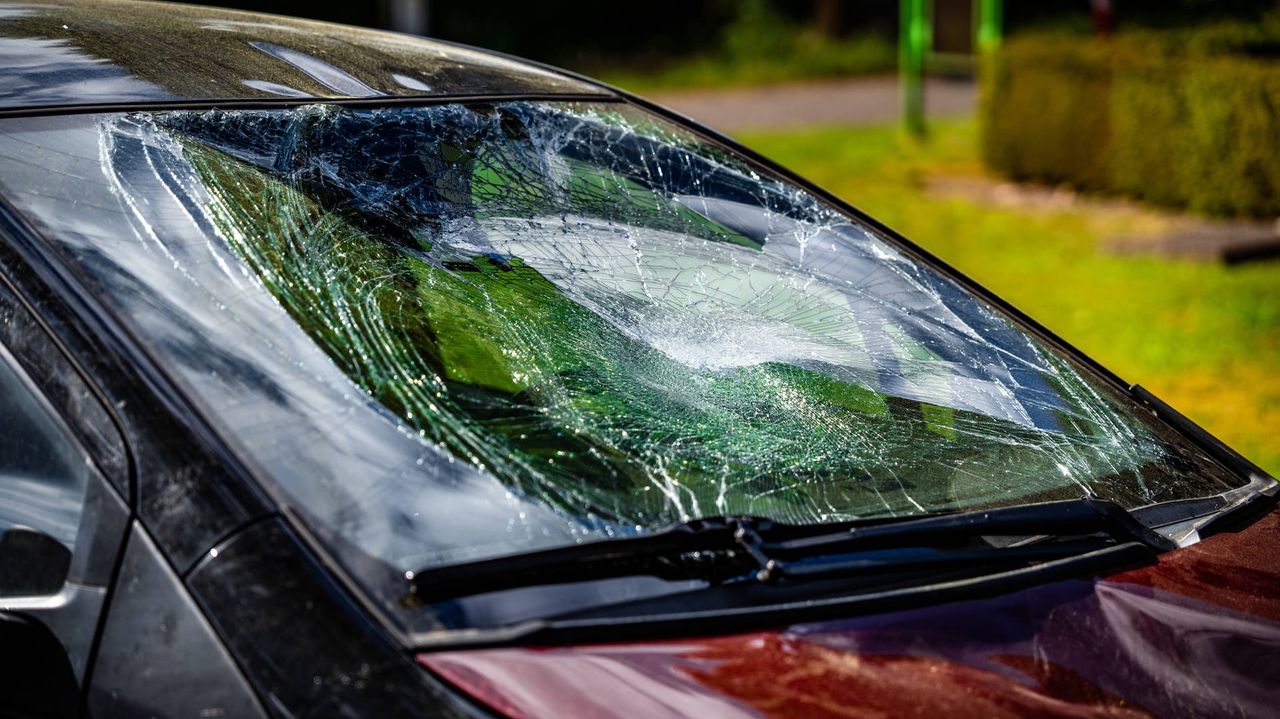 De voorruit is gebarsten door de klap (foto: Lucas Lammers / Persbureau Heitink).