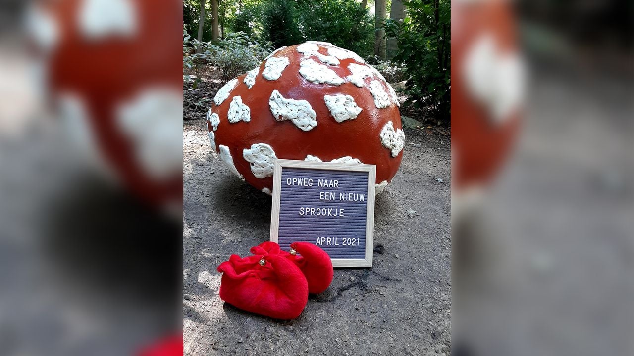 De zwangerschapsaankondiging bij de zingende paddenstoel. (Foto: Karlijn ter Horst