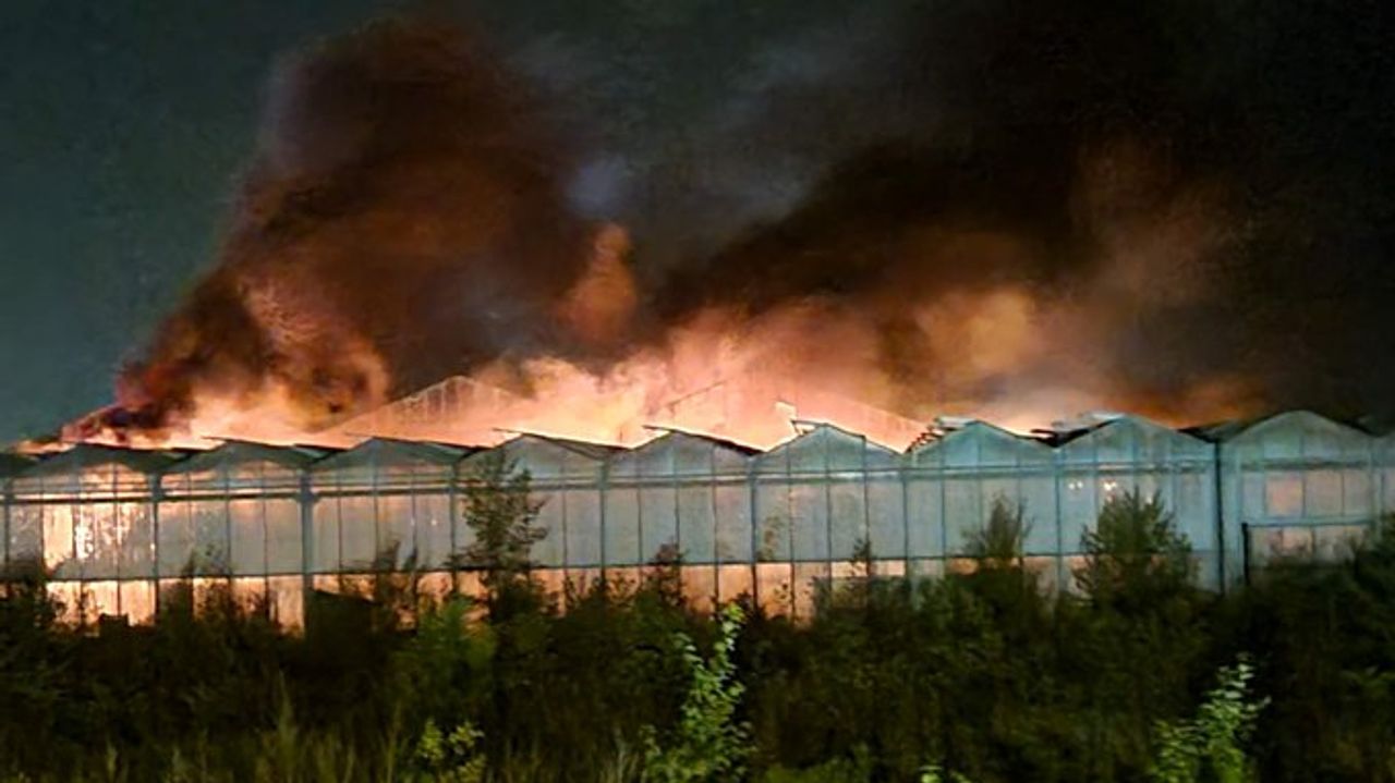 Grote rookwolken boven het brandende kassencomplex (foto: politie Basisteam Weerijs).