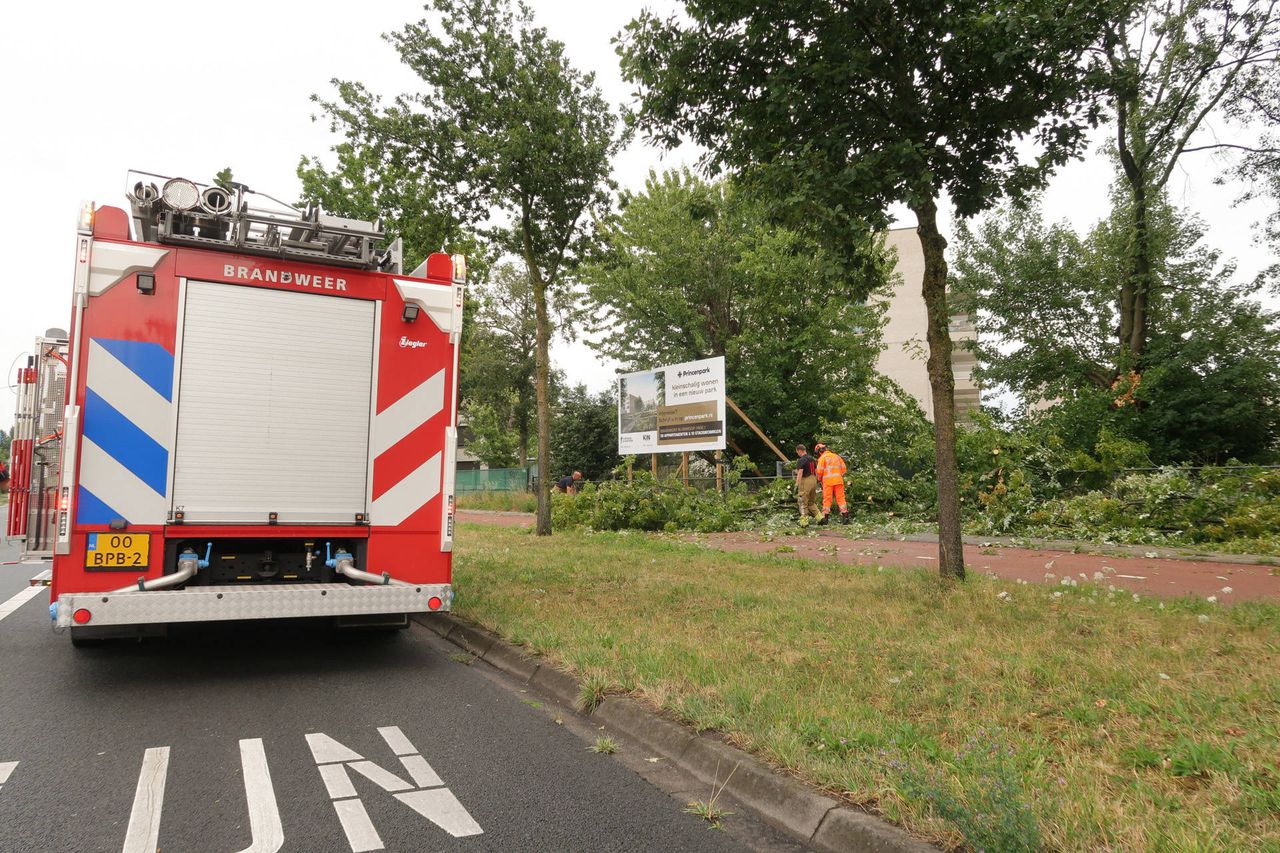 Foto: Persbureau Heitink.