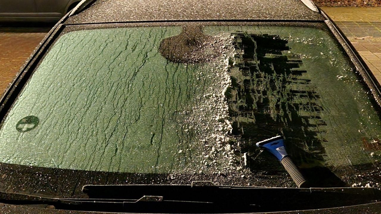 Krabben vanochtend in Putten - NOS Ooggetuige/Theo van Dalen