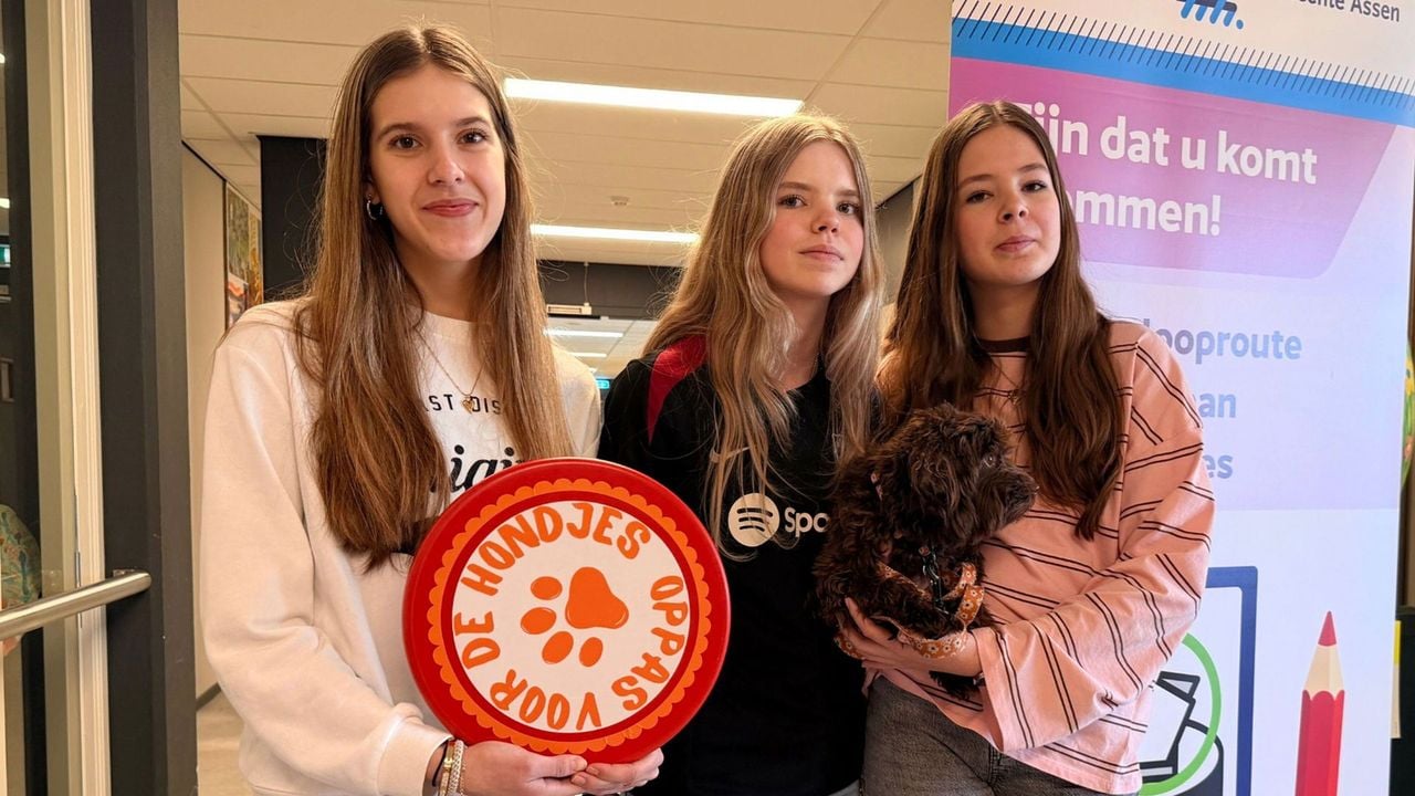 Hondenoppas bij een stembureau in Assen - RTV Drenthe