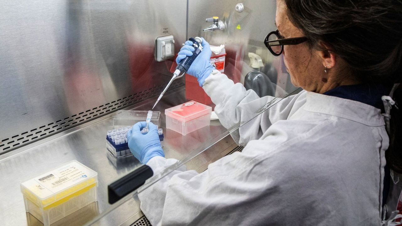 Een Argentijnse wetenschapper met tests waarmee het Andesvirus kan worden vastgesteld - AFP