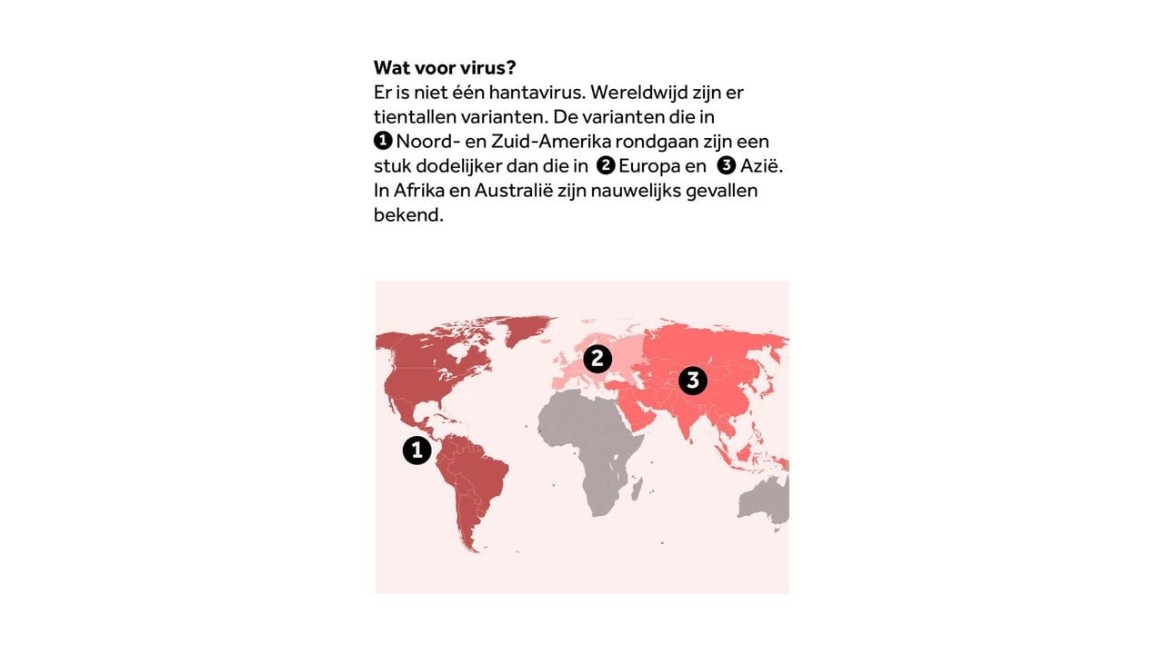 Afbeelding ter illustratie - NOS
