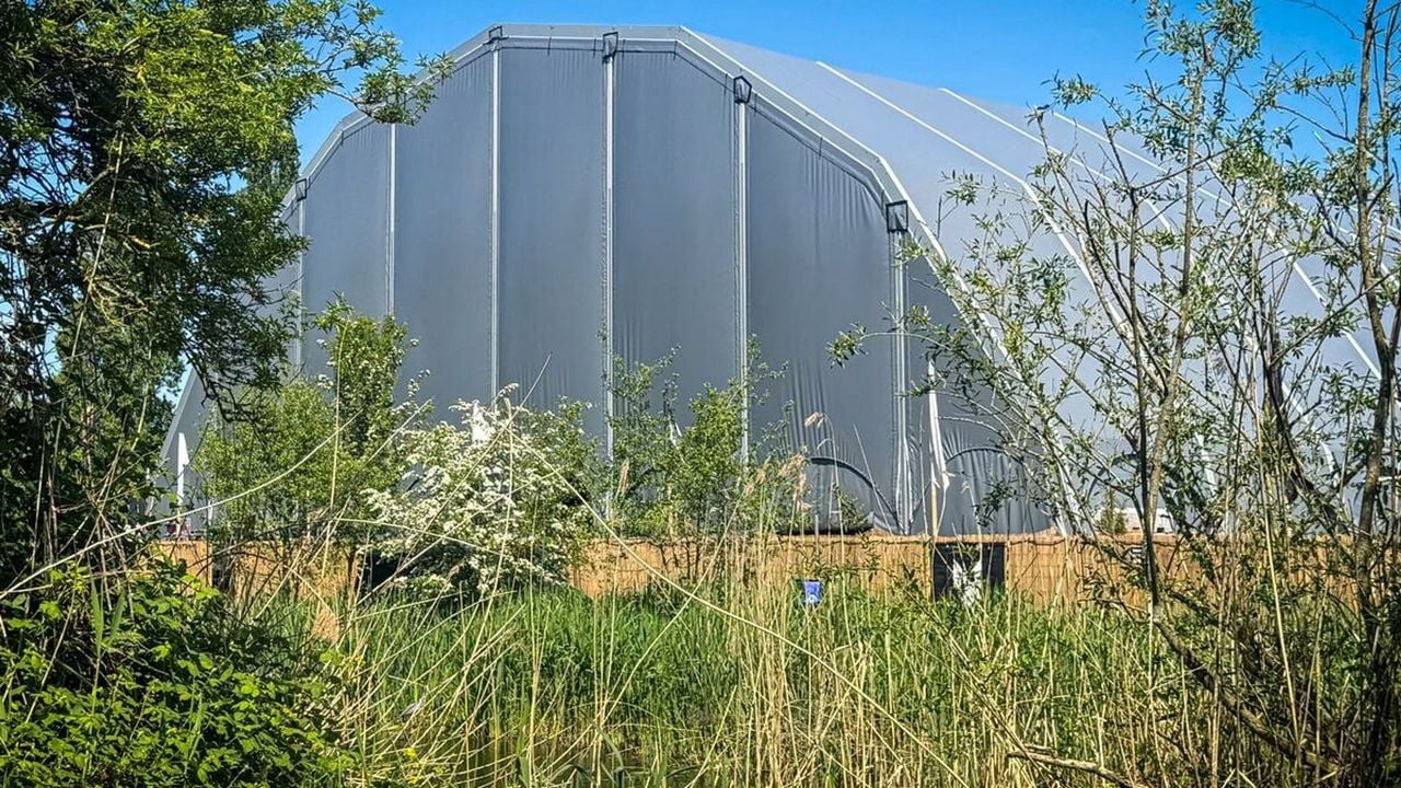 De tent in kwestie - NOS