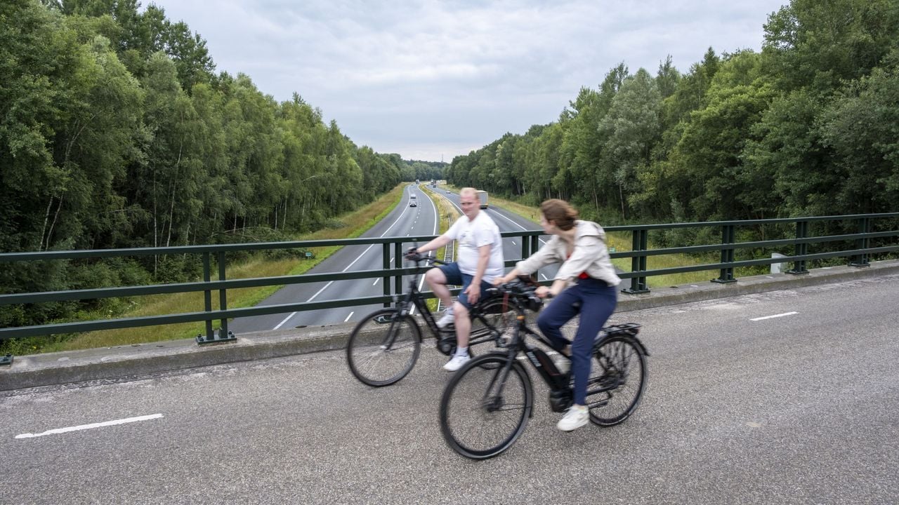 Fietsers rijden over een viaduct over de A1 bij De Lutte - ANP