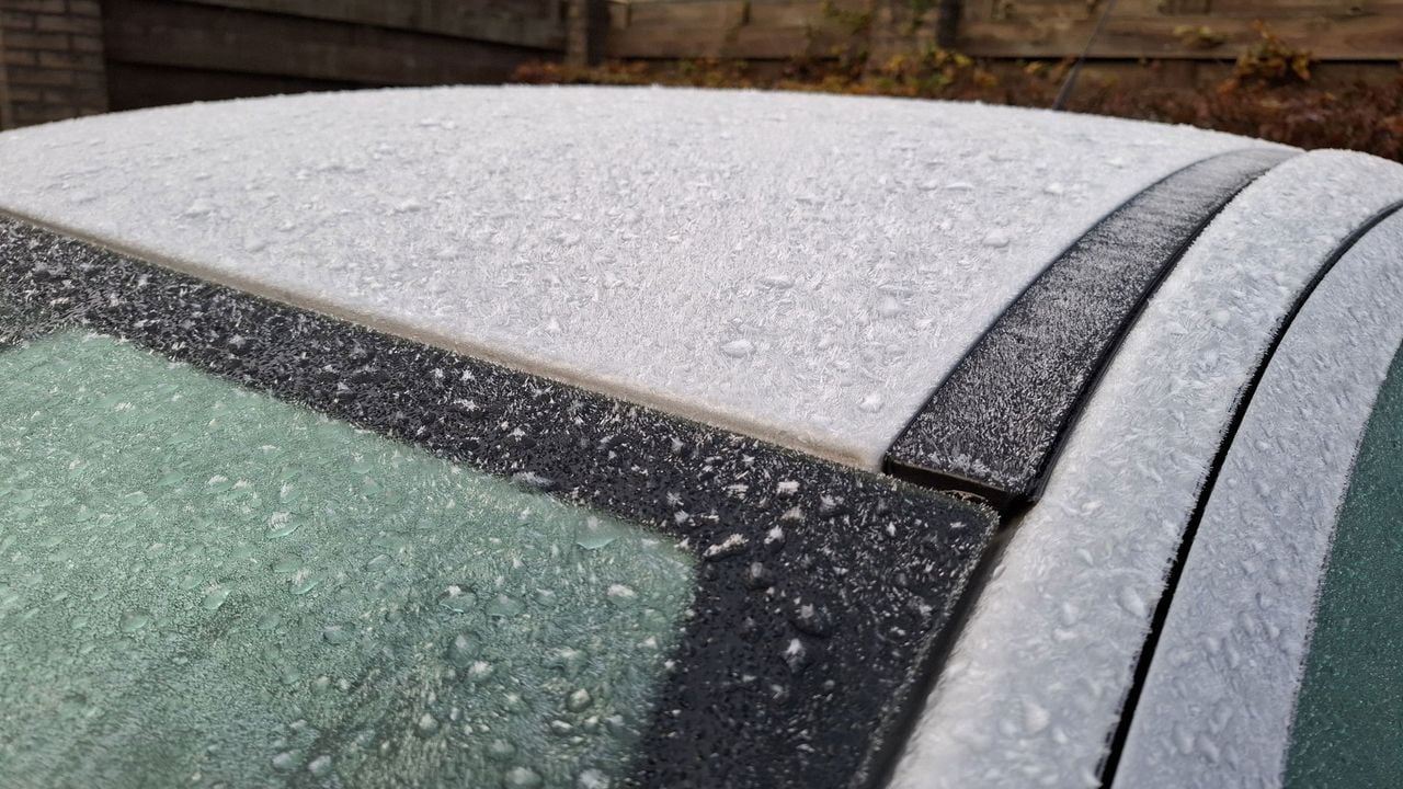 Kou in Eerbeek - NOS Ooggetuige/Nick Boersma