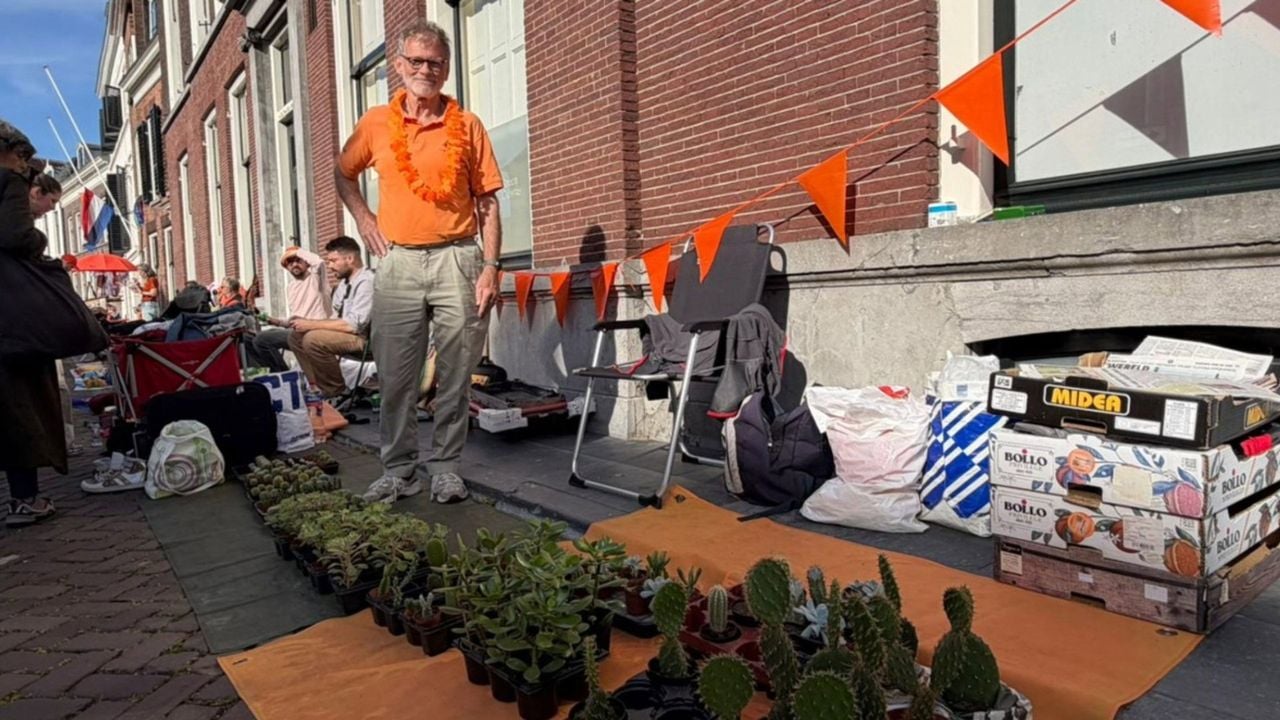 Het stekjeskleed van Harry - RTV Utrecht