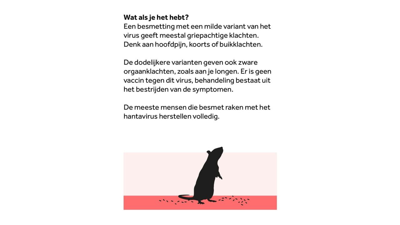 Afbeelding ter illustratie - NOS