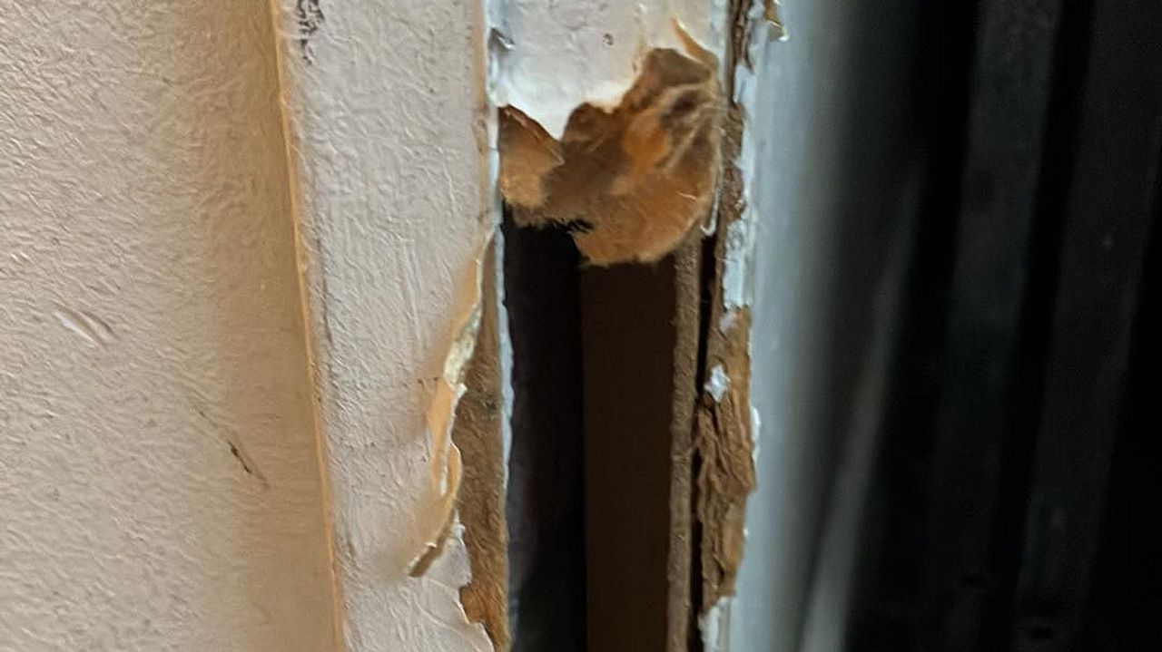 De muizen hebben inmiddels al de nodige gaten in de muren geknaagd.