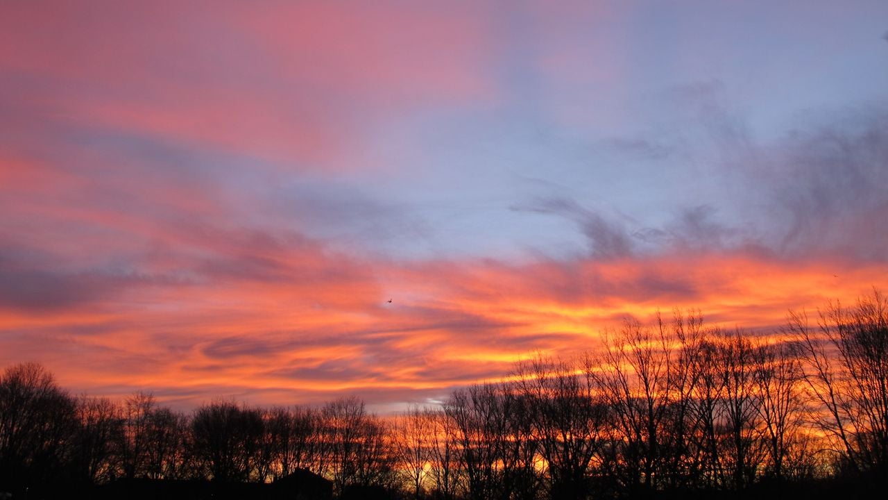 Fraai plaatje vanuit Tilburg (foto: Birgit Janssen).