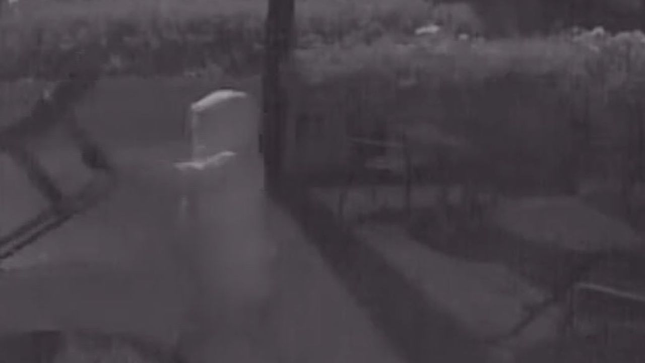 Dader probeert gat te slaan in een ruit (Foto: Bureau Brabant)