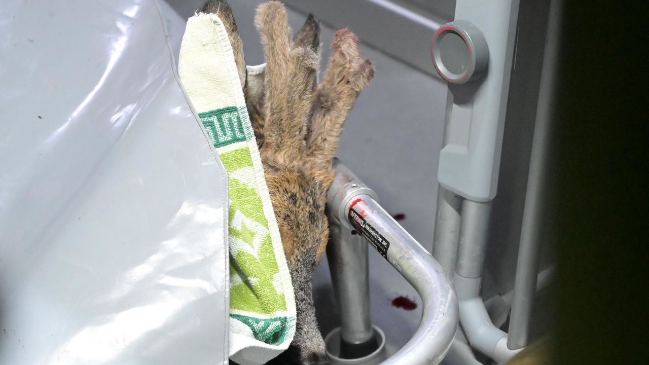 Foto: Perry Roovers/SQ Vision