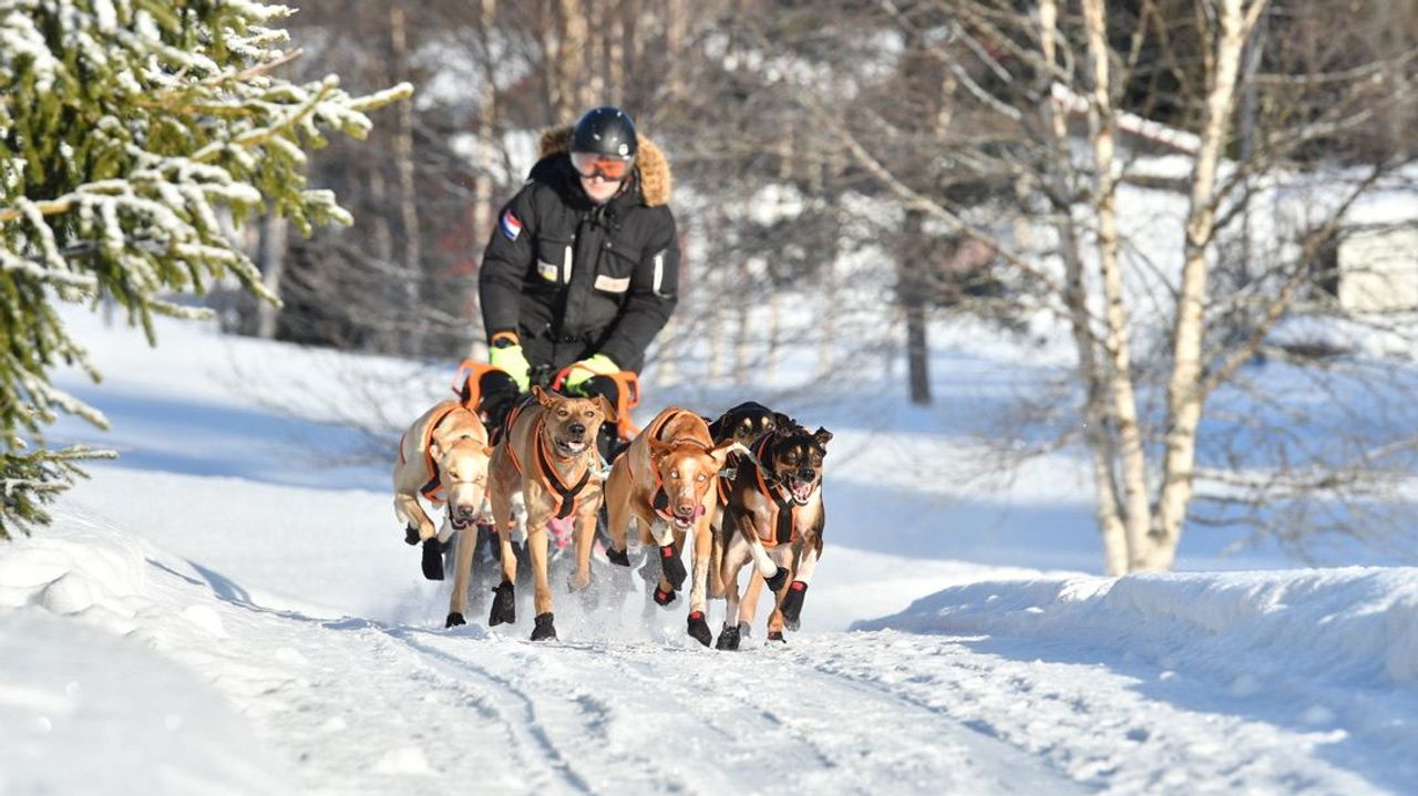 Stefan in actie in Noorwegen (foto: Beeld Tartok Speed).