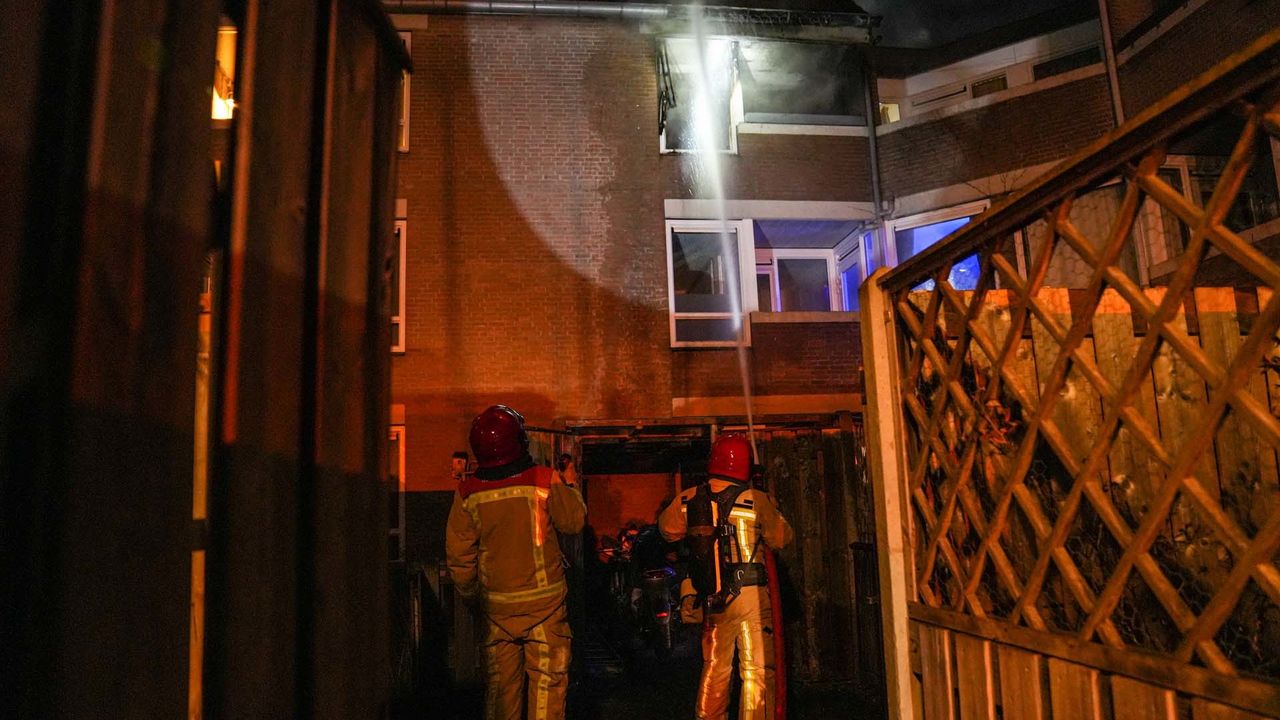 Foto: Harrie Grijseels/SQ Vision Mediaprodukties).